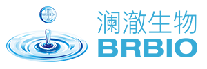 BRBIO - 澜澈生物科技